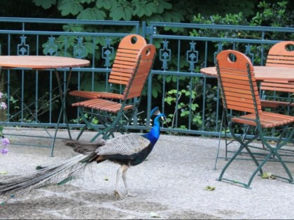 Фото: Paulaner-Garten am Höxberg